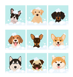 Similar image 21686590