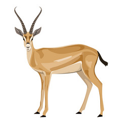 Similar image 21701383