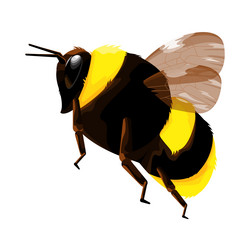 Similar image 21701399