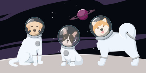 Similar image 21686591