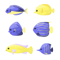 Similar image 21700844