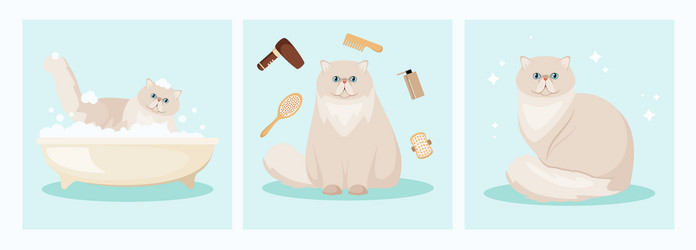 Similar image 21700521