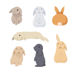 Similar image 21701418