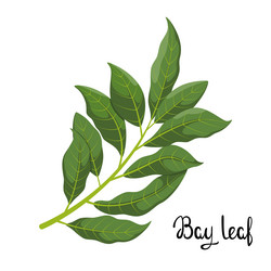 Similar image 21701419