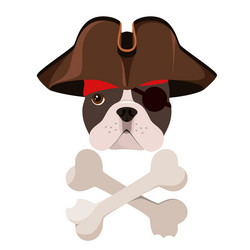 Similar image 21700544