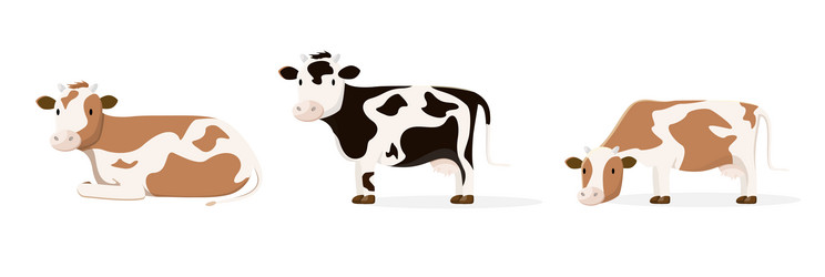 Similar image 21700545