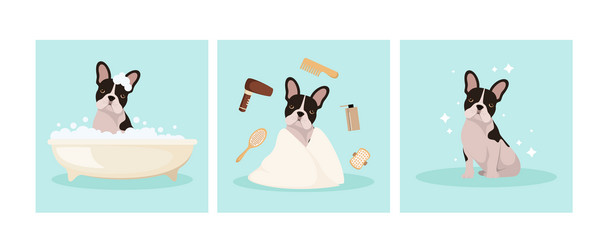 Similar image 21700548