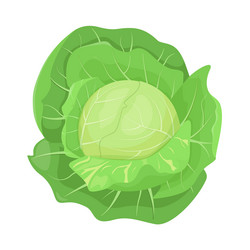 Similar image 21700550