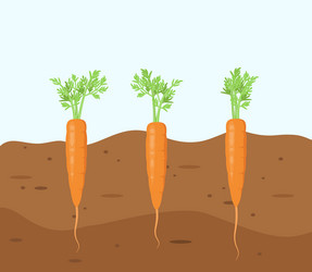 Similar image 21700871