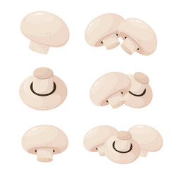 Similar image 21700883