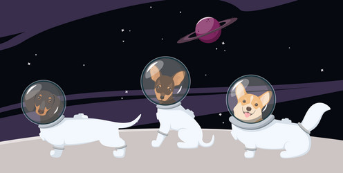 Similar image 21686598