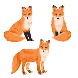 Similar image 21700902