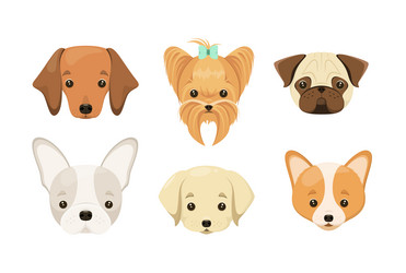 Similar image 21686599