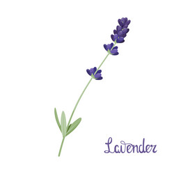 Similar image 21700553