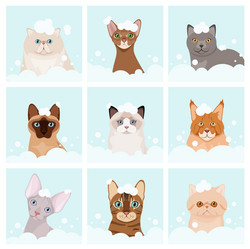 Similar image 21686600