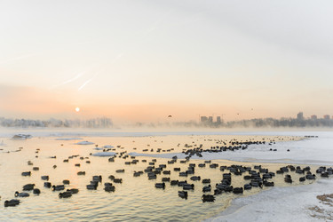 Similar image 21703100