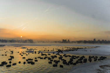 Similar image 21703101