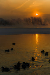 Similar image 21703040