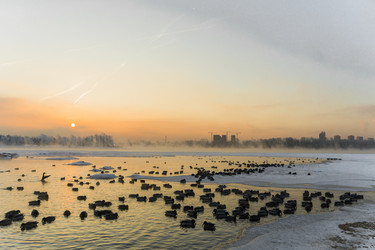 Similar image 21703041