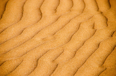 Similar image 21686030