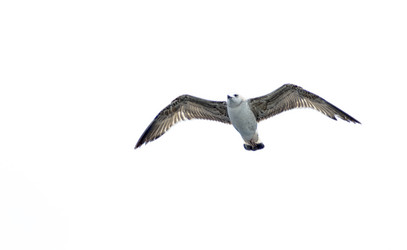 Similar image 21686031