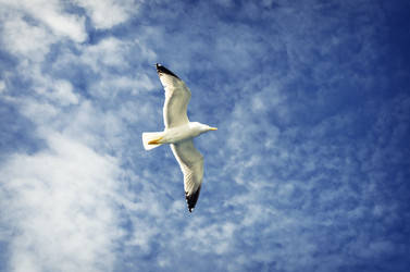 Similar image 21686037