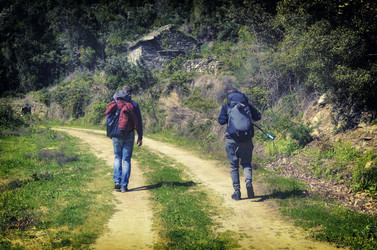 Similar image 21686038