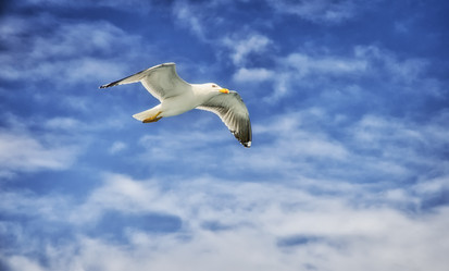 Similar image 21686040