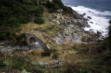 Similar image 21686046