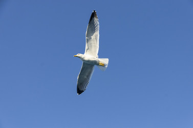 Similar image 21686050