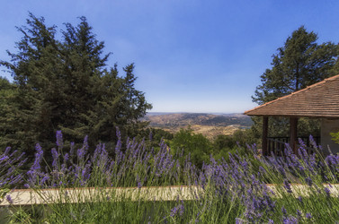 Similar image 21686053