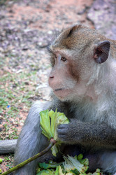 Similar image 21686060