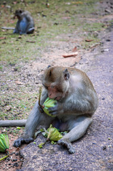 Similar image 21686061