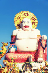 Similar image 21686066