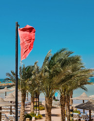 Similar image 21686095