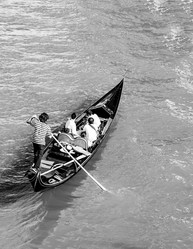 Similar image 21686105