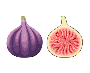 Similar image 21701436