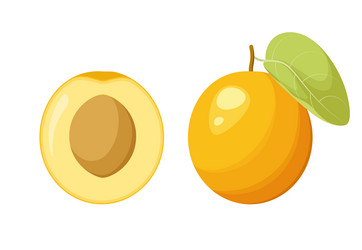 Similar image 21700563