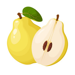 Similar image 21700574