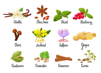 Similar image 21700587