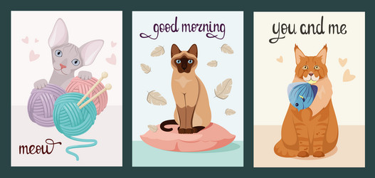 Similar image 21700588