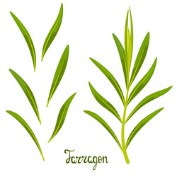 Similar image 21700590