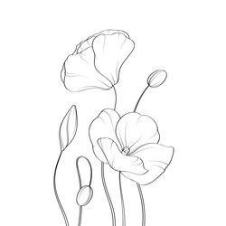 Similar image 21700616