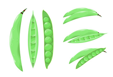 Similar image 21700617