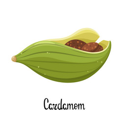 Similar image 21700659