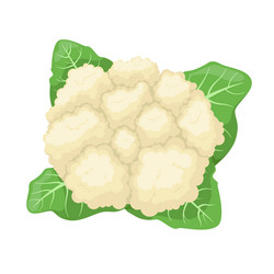 Similar image 21700665