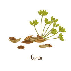 Similar image 21700930