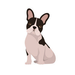 Similar image 21686608