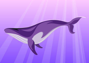 Similar image 21701446