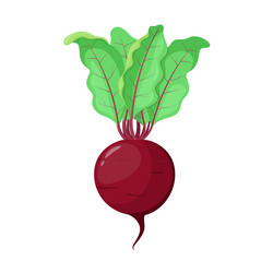 Similar image 21700680